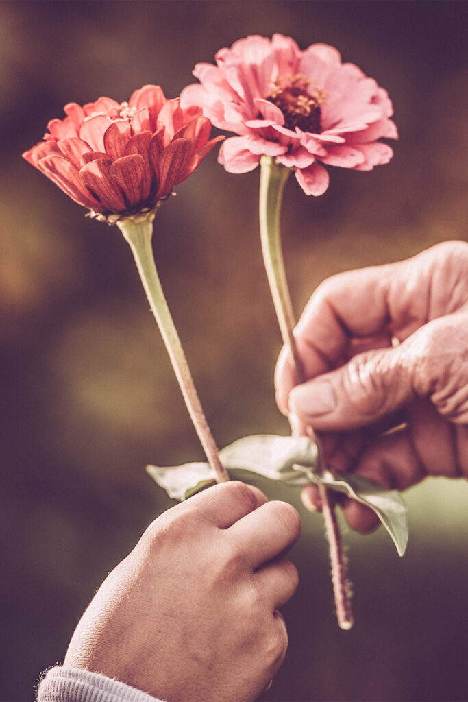 An elderly hand giving flowers to a child's small hand